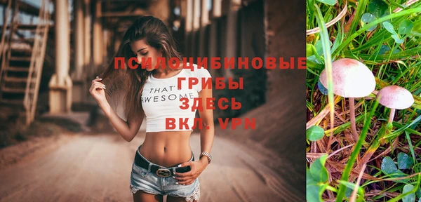эйфоретик Михайловка