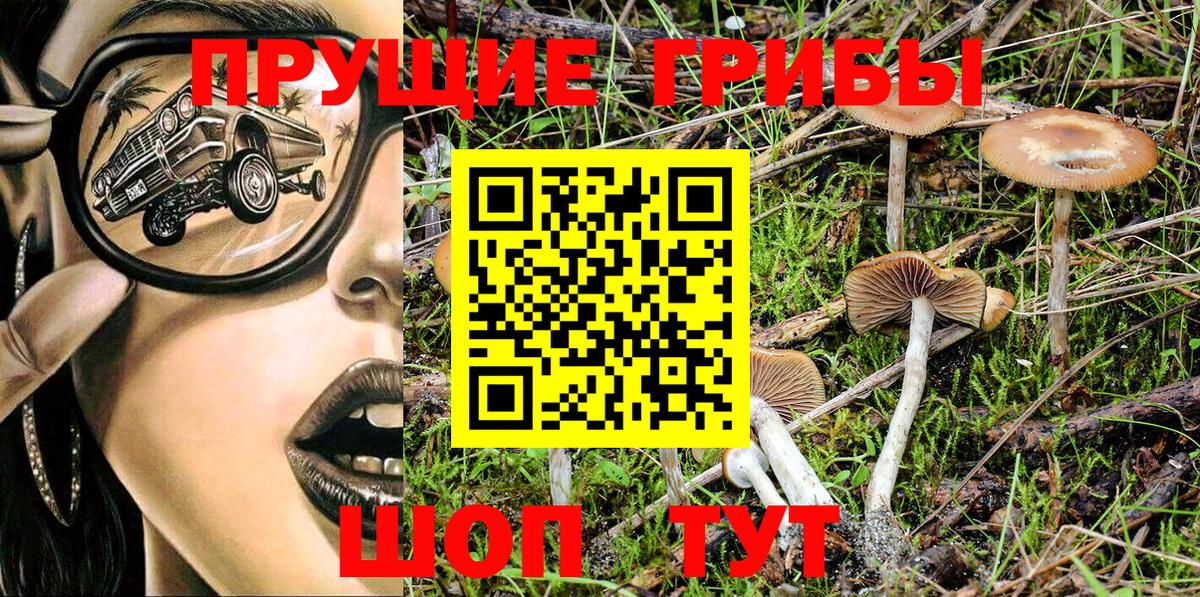 Карачаевск  Псилоцибиновые грибы GOLDEN TEACHER  Галлюциногенные грибы Magic Shrooms  Вход с VPN 
