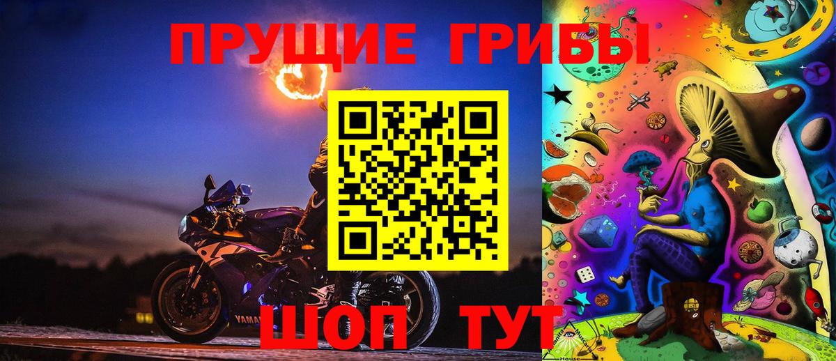 продажа наркотиков  Карачаевск  Галлюциногенные грибы прущие грибы 
