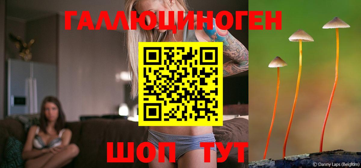 Галлюциногенные грибы ЛСД Карачаевск